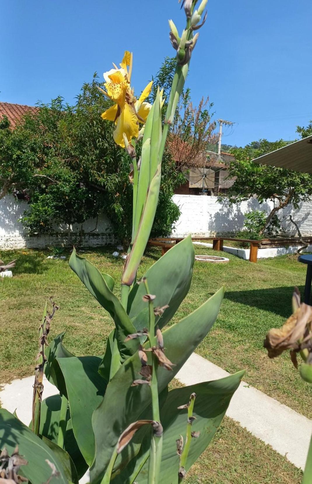 Casinha Verde Passa Quatro Ngoại thất bức ảnh